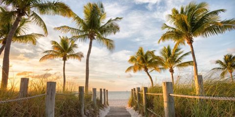 I’ve lived in Florida for over 25 years. Here are 7 places I always tell tourists to visit.