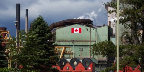 Mountie bears and battle-ready beavers star in a viral AI-made Canadian trade-war anthem