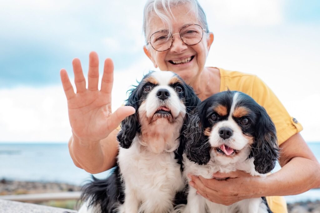 Why Your New Best Friend Is Worth Every Penny