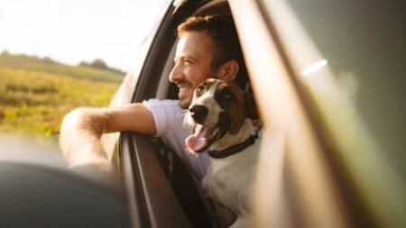 Commuter vs. Pleasure Car Insurance