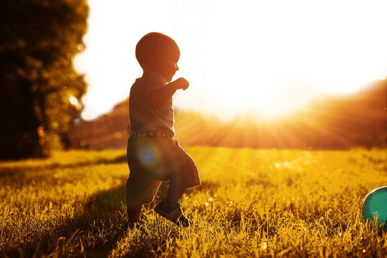 Dave Ramsey’s 7 Baby Steps to Wealth: Which Ones Work for Your Income Level