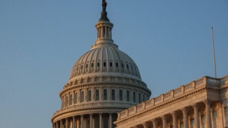Congress Might Cap Federal Student Loan Limits, With Consequences
