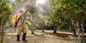 A Tech Startup Is Using IoT and AI to Help Farmers Cut Pesticide Costs