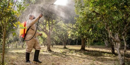 A Tech Startup Is Using IoT and AI to Help Farmers Cut Pesticide Costs