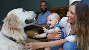 Low-Income Loans: Personal Loans for a Tight Budget