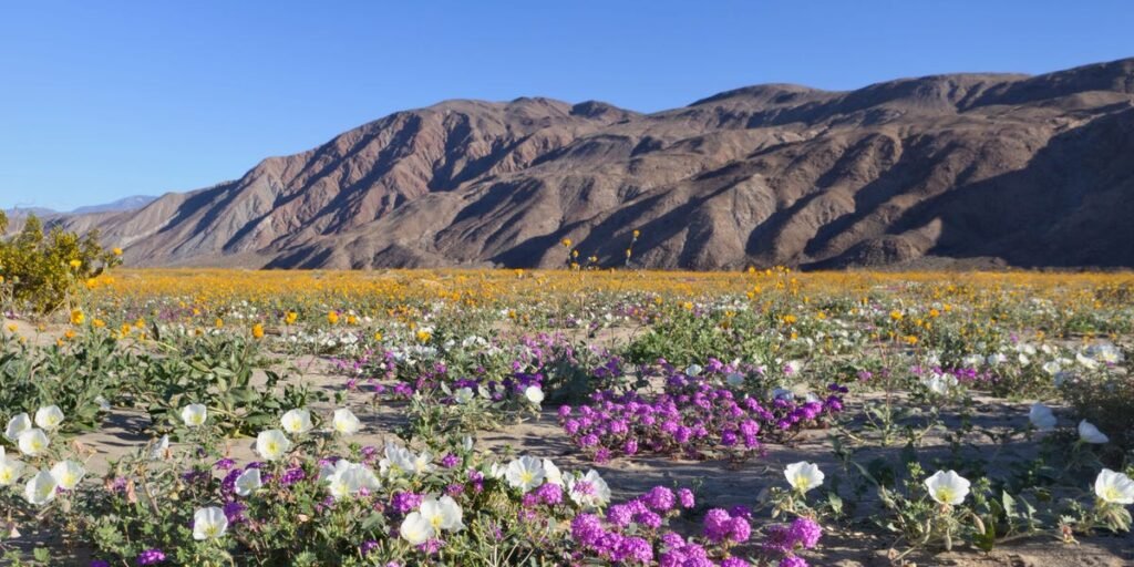 Best US State Parks to Visit, From Woman Who’s Been to All 50 States