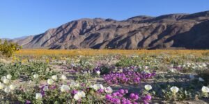 Best US State Parks to Visit, From Woman Who’s Been to All 50 States Best US State Parks to Visit, From Woman Who’s Been to All 50 States