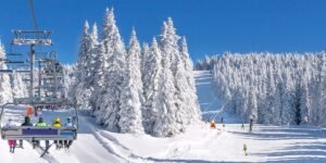 Best Tips for Skiing and Snowboarding, From a Life-Long Expert