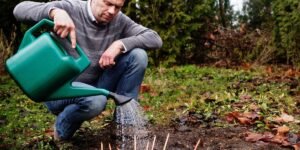 How I Turned a Student Invention Into a Global Eco-Friendly Brand