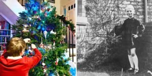 How Soaring Christmas Tree Prices Changed Our Family Tradition This Year
