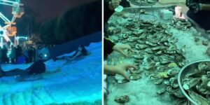 Social Media Gives a Glimpse Into Company Holiday Parties