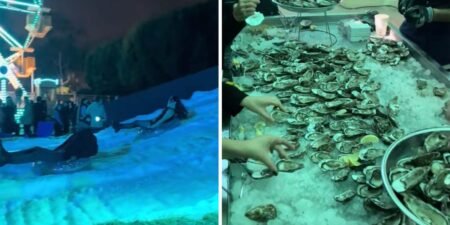 Social Media Gives a Glimpse Into Company Holiday Parties