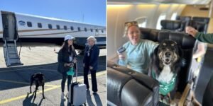 This ‘Shark Tank’-Backed Airline Lets Big Dogs Fly in the Cabin