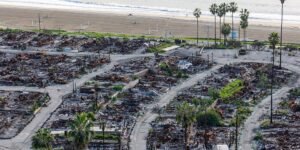 Photos Show Pacific Palisades a Year After Los Angeles Wildfires