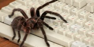 Anthropic, OpenAI Crawl the Web Even More, and Give Little Back