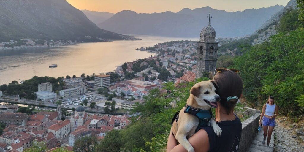 I left the US in 2015 and have since lived around the world. Reverse culture shock hit me harder than leaving ever did. I left the US in 2015 and have since lived around the world. Reverse culture shock hit me harder than leaving ever did.