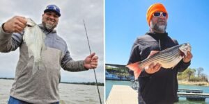 I used an AI-powered app to lose 70 pounds. I reversed my diabetes and can keep up with my 8-year-old. I used an AI-powered app to lose 70 pounds. I reversed my diabetes and can keep up with my 8-year-old.