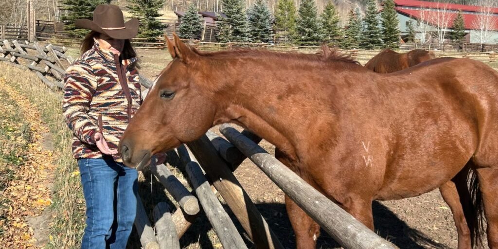 I was so burned out at work that I couldn’t relax on vacation. It was the wake-up call I needed. I was so burned out at work that I couldn’t relax on vacation. It was the wake-up call I needed.