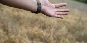 Ukrainian soldiers armed with scissors say they cut any fiber-optic drone cable they see — even if it might be their own