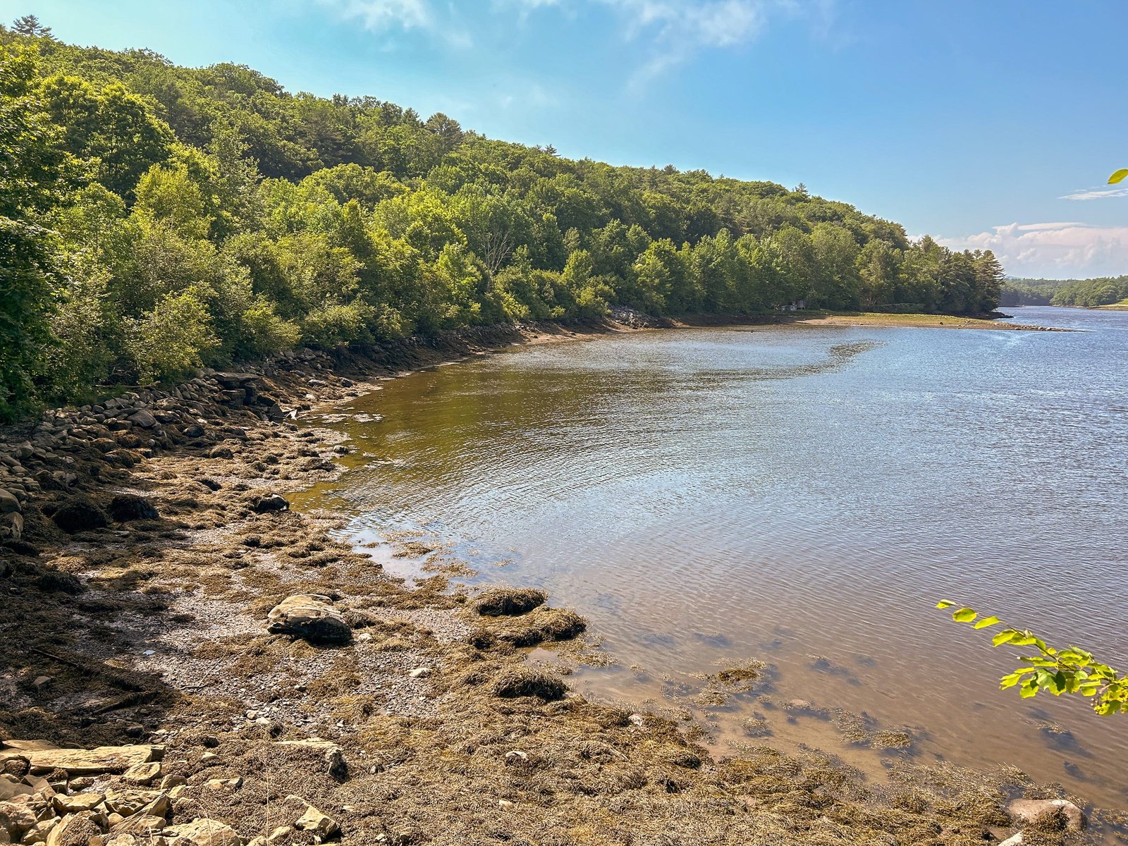A shore of.a bay with rocks and trees on the left