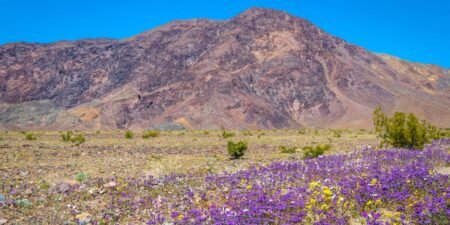 I’ve been to all 63 major US national parks. There are 6 I always tell people to visit in the spring. I’ve been to all 63 major US national parks. There are 6 I always tell people to visit in the spring.