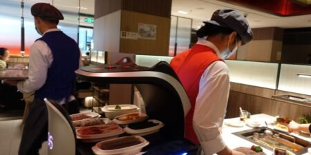 The robot that went on the fritz while dancing at Haidilao in California was in ‘celebration mode,’ the restaurant says The robot that went on the fritz while dancing at Haidilao in California was in ‘celebration mode,’ the restaurant says