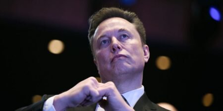 Elon Musk offers to pay the salaries of TSA agents as Trump threatens to replace them with ICE