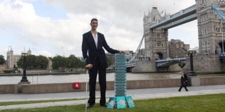 The 25 countries with the tallest populations, ranked