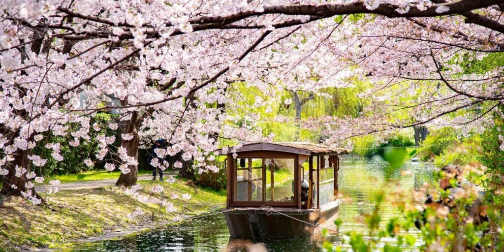 I visited Japan for the first time. The trip was great, but I could’ve easily avoided these 5 mistakes.