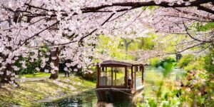 I visited Japan for the first time. The trip was great, but I could’ve easily avoided these 5 mistakes.