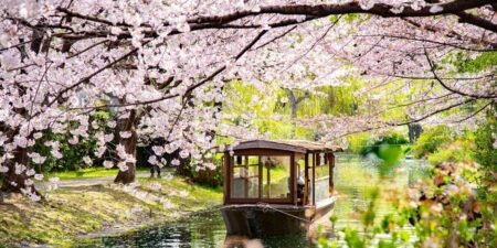 I visited Japan for the first time. The trip was great, but I could’ve easily avoided these 5 mistakes.