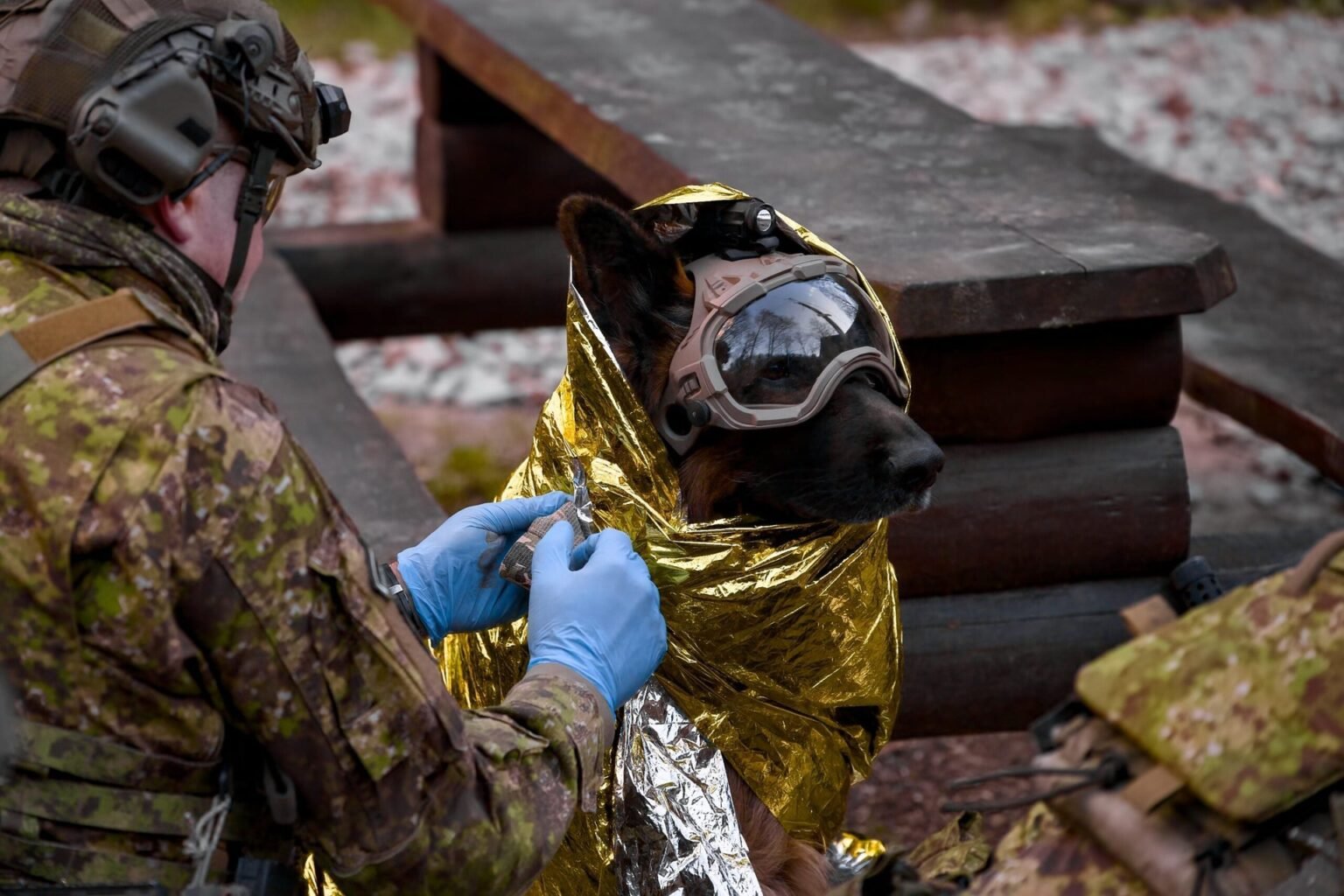 5 Unlikely Inventions That Made Millions for Savvy Americans 5 Unlikely Inventions That Made Millions for Savvy Americans