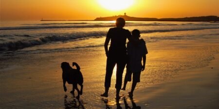 I sent my son to Australia alone when he was 13 so he’d be more independent. Now that he’s an adult, I get advice from him.