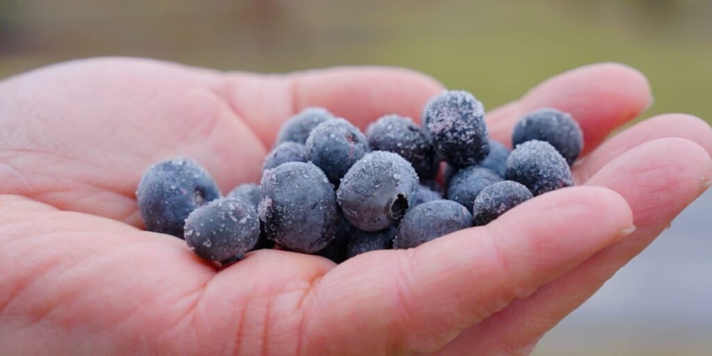 Should Organic Food Be so Expensive?