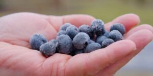 Should Organic Food Be so Expensive?