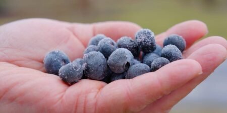 Should Organic Food Be so Expensive?