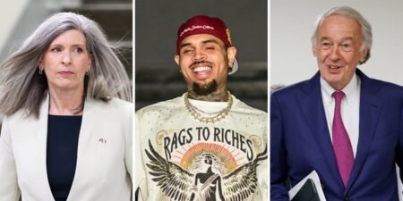 Senator pushes pandemic-era fraud bill forward, citing Business Insider’s report on Chris Brown’s taxpayer-funded birthday party