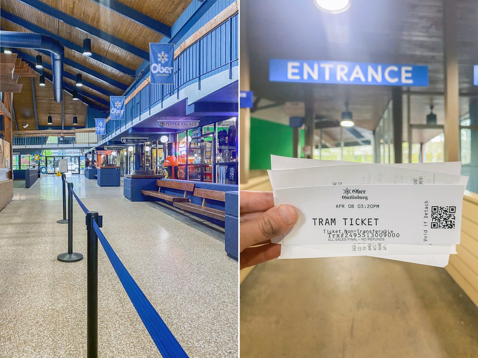 The author gets her ticket to ride