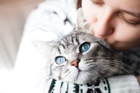Top Ways to Save With DIY Cat Toys and Treats