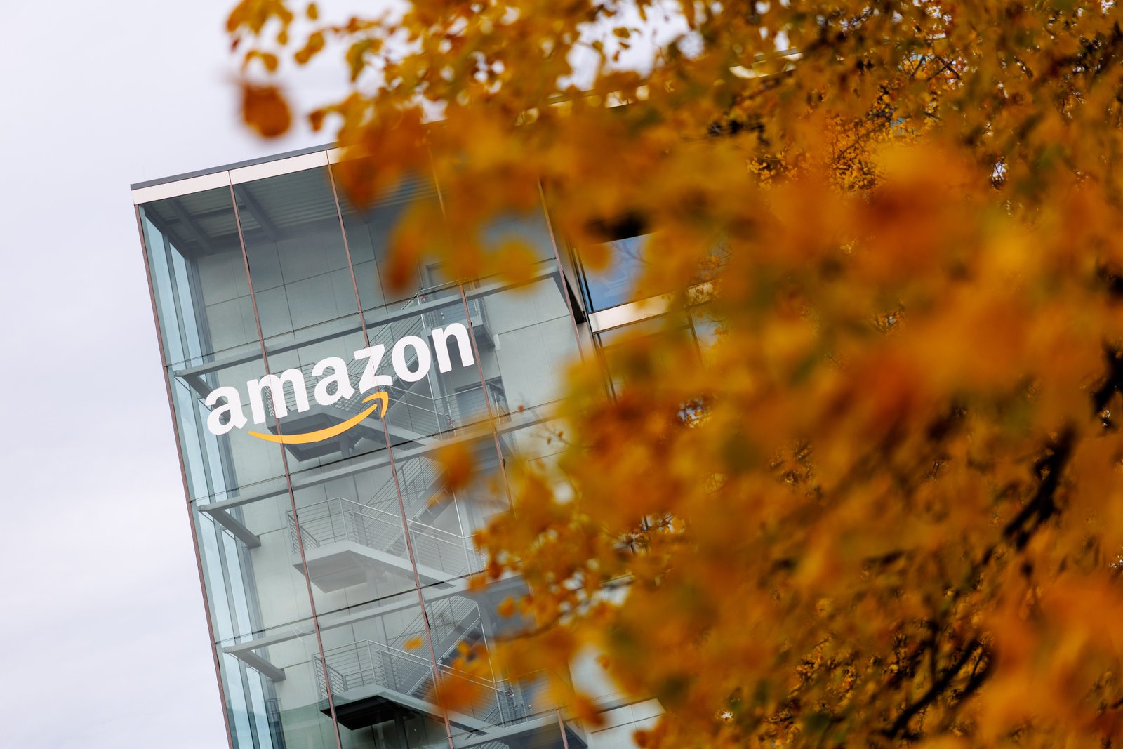 The Amazon logo on the side of a building with a tree in the foreground.