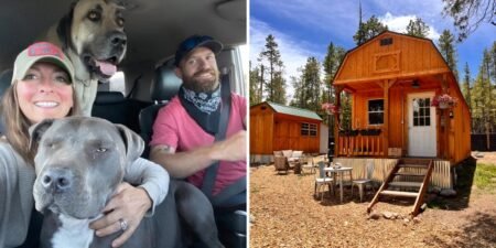 A couple bought a 380-square-foot shed for ,000 and turned it into a tiny home they share with their 3 dogs