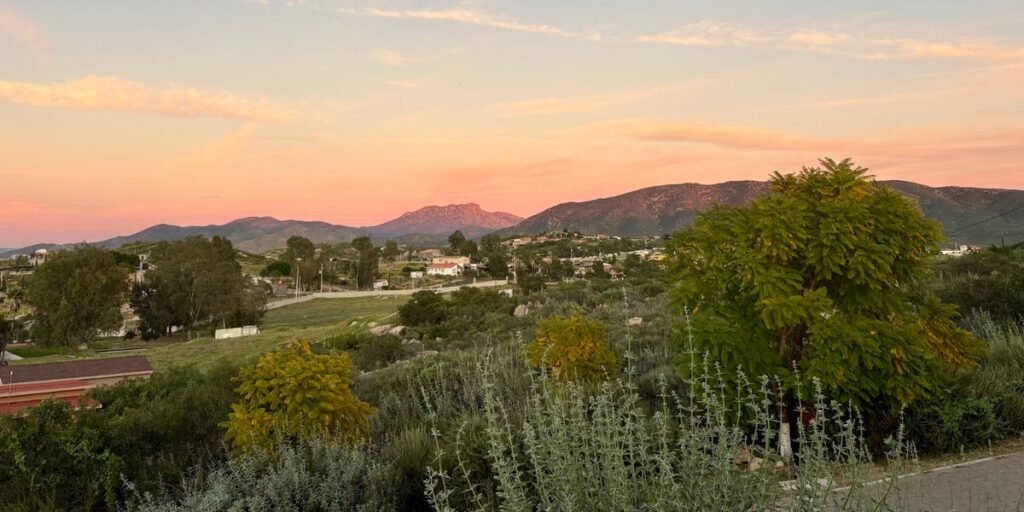 I’m a sommelier and travel advisor. There’s just one wine region I’m telling everyone to visit this summer.