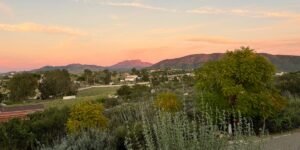 I’m a sommelier and travel advisor. There’s just one wine region I’m telling everyone to visit this summer.