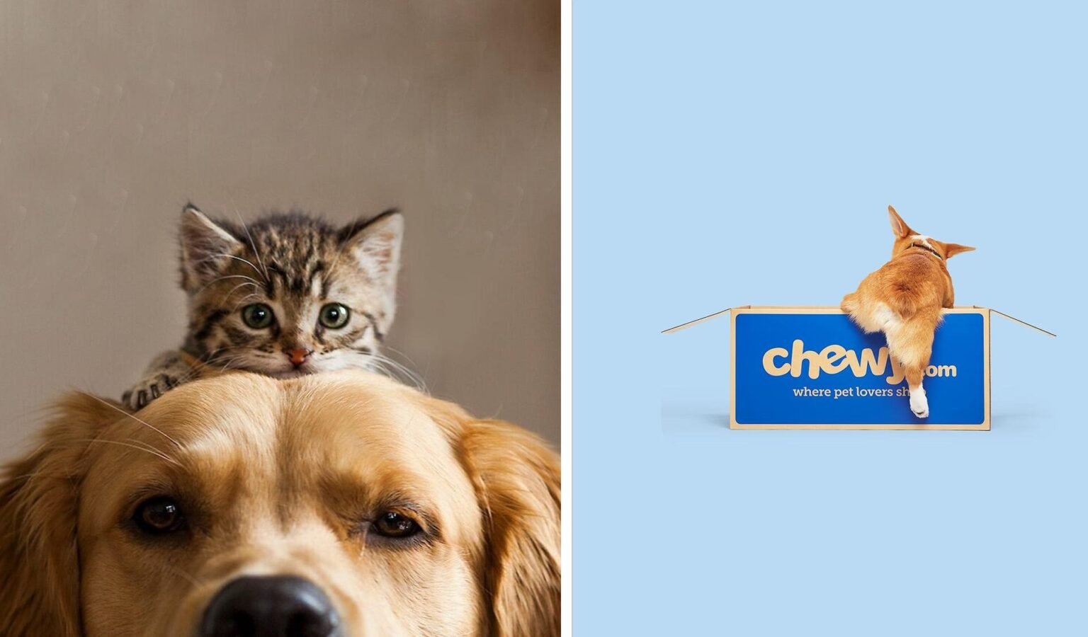 Chewy Is Giving New Customers a  Gift Card on Their First Order