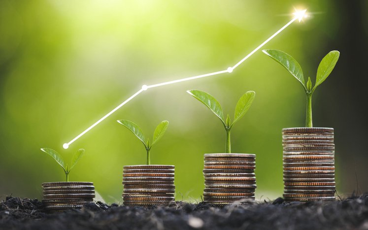 Annuity income varies by structure and timing and is often used to cover essential expenses or close an income gap.