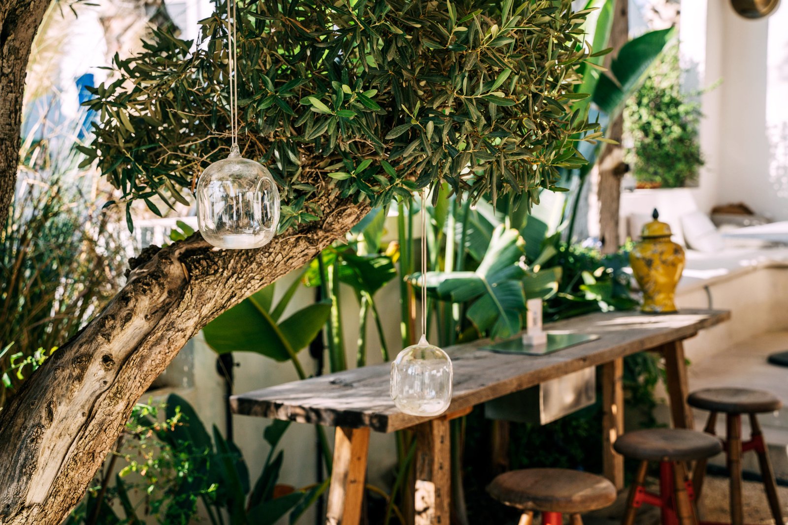 Lamps hanging from greenery in yard