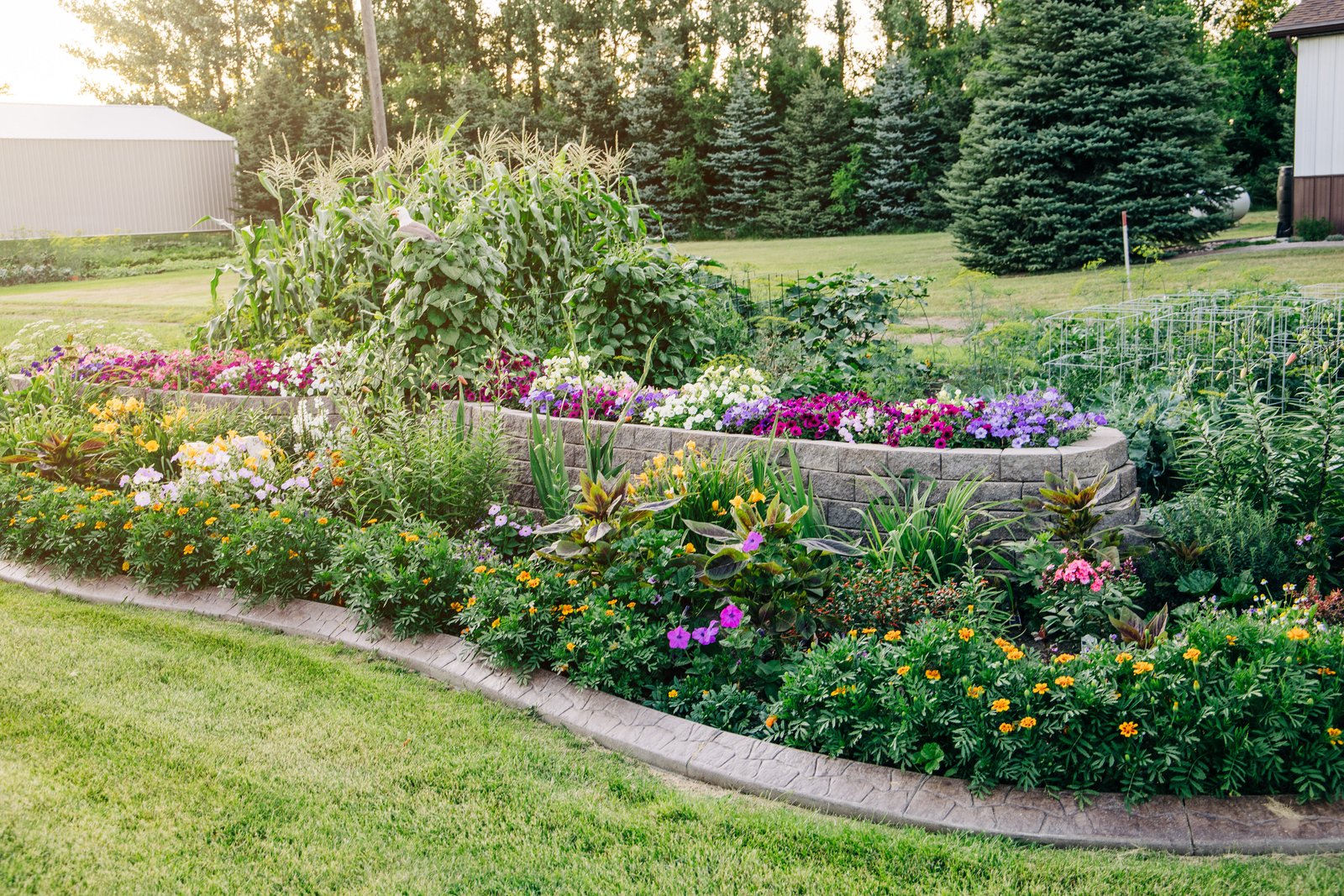 colorful plants at different heights in yard
