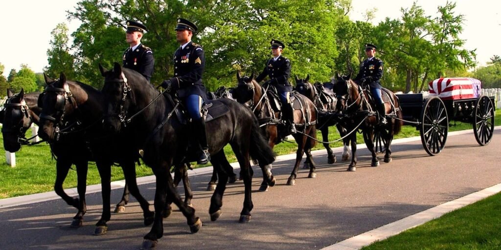 Inside the Army’s  million effort to revamp its funeral horse program after a series of horse deaths