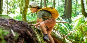 A psychologist explains why adaptable kids will outpace straight-A students in the AI era