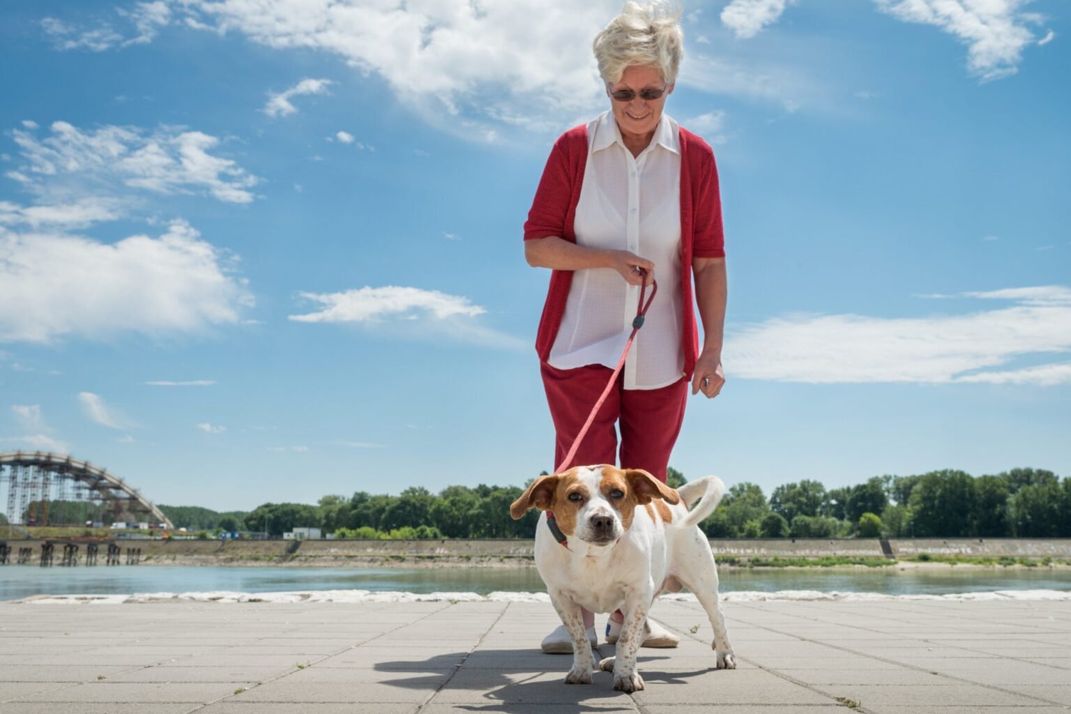 6 Low-Stress Side Hustles for Soon-to-Be Retirees